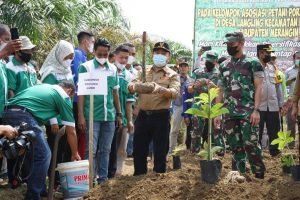 Gubernur Jambi saat menanam porang bersama masyarakat