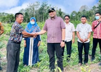 Pinto Jayanegara meninjau langsung lokasi kebun sawit warga (foto: deni)