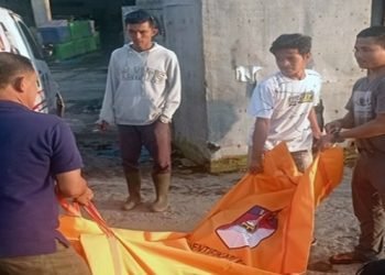 Mayat wanita tanpa identitas dan membusuk ditemukan disekitaran Pantai Pulau Berhala (Istimewa)