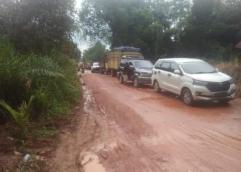 Sejumlah kendaraan yang berada dilokasi