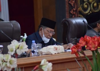 Wakil Gubernur Jambi Abdullah Sani (foto: Sopbirin)