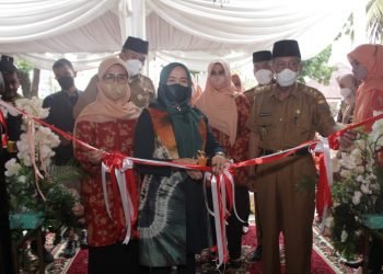 Wakil Gubernur Jambi Abdullah Sani (Foto: Harun)