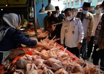Gubernur Jambi Al Haris (foto: Novriansah)