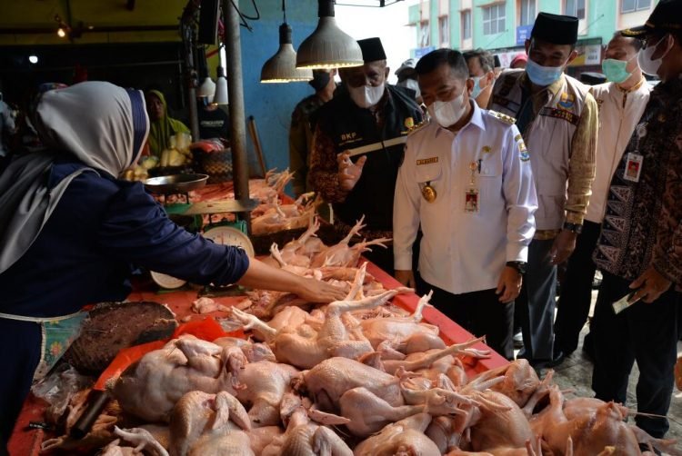 Gubernur Jambi Al Haris (foto: Novriansah)