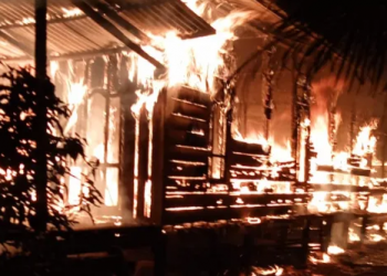 Kebakaran di Desa Sungsang (foto: Ist)