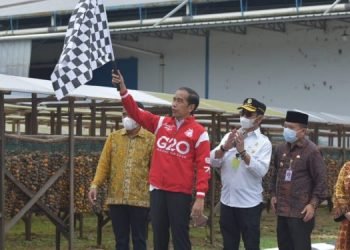 Presiden Jokowi Lepas Ekspor Pinang Biji di Muaro Jambi (foto: Laily Rachev - Biro Pers Sekretariat Presiden)