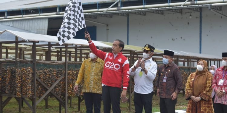 Presiden Jokowi Lepas Ekspor Pinang Biji di Muaro Jambi (foto: Laily Rachev - Biro Pers Sekretariat Presiden)
