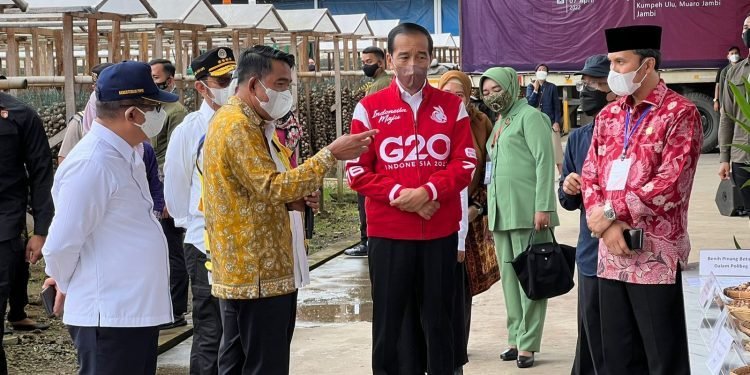 Ketua DPRD Edi Purwanto Dampingi Presiden Jokowi Kunker di Jambi (foto: ISt)