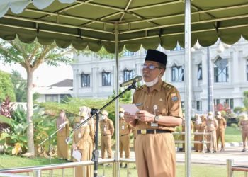 Wakil Gubernur Jambi Abdullah Sani (foto: Mulyadi)