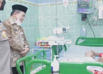 Gubernur Jambi Al Haris (foto: Harun)