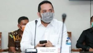 Wakil Ketua DPRD Provinsi Jambi,Pinto Jayanegara (foto: istimewa)