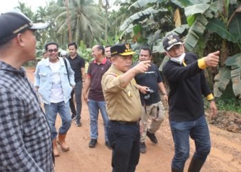 Gubernur Jambi Al Haris (Foto: harun)