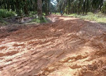 Kondisi jalan alternatif saat cuaca Hujan (foto: deni)