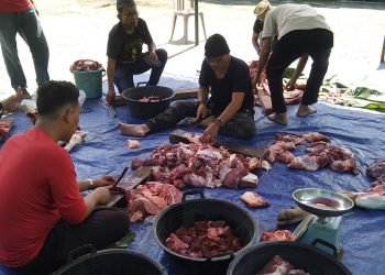 Proses pemotongan dan pembagian daging qurban di lapangan Kantor PWI Provinsi Jambi, Minggu (10/7/2022). Sebanyak 190 paket daging qurban dibagikan kepada anggota PWI Provinsi Jambi, juga kepada janda dan anak yatim, tetangga sekitar kantor PWI Jambi. (Foto: PWI Jambi)