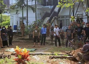 Penyembelihan Hewan Qurban Dinas Kominfo Tanjab Timur (foto: Ist)