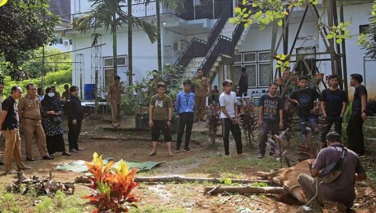 Penyembelihan Hewan Qurban Dinas Kominfo Tanjab Timur (foto: Ist)