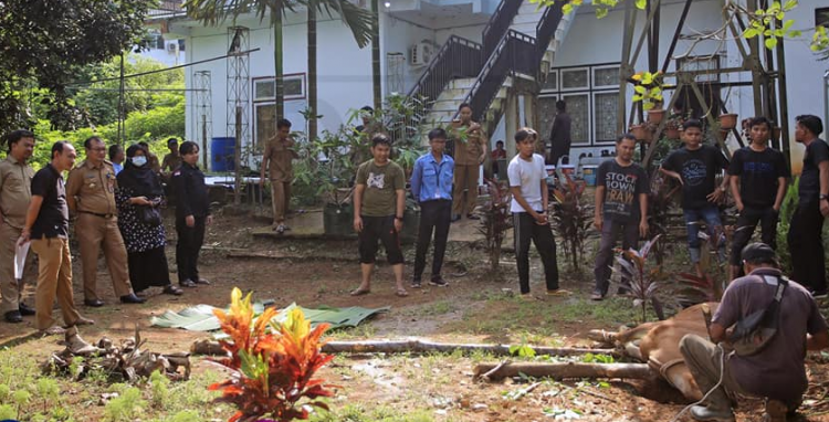 Dinas Kominfo Tanjab Timur Laksanakan Penyembelihan Hewan Qurban (dok Istimewa)