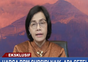 Menkeu Sri Mulyani Indrawati (foto: dok kemenkeu)
