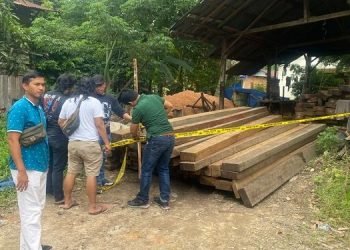 Lokasi tempat penyimpanan Ilegal Logging di desa tangkit (dok Istimewa)