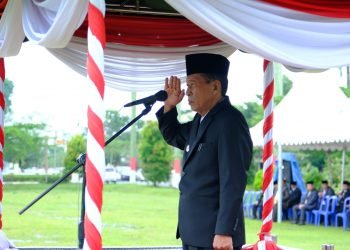 Wakil Gubernur Jambi Abdullah Sani (foto: Sopbirin)