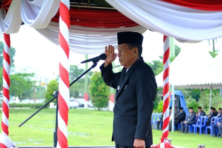 Wakil Gubernur Jambi Abdullah Sani (foto: Sopbirin)