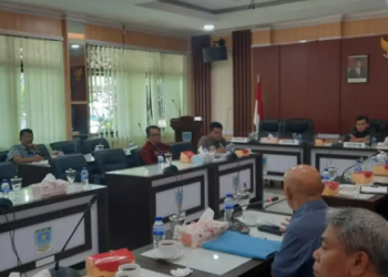 Dok Istimewa