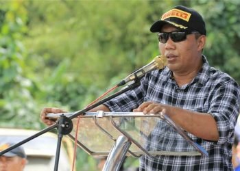 Bupati Tanjab Timur H. Romi Hariyanto saat memberi kata sambutan (Dok Istimewa)