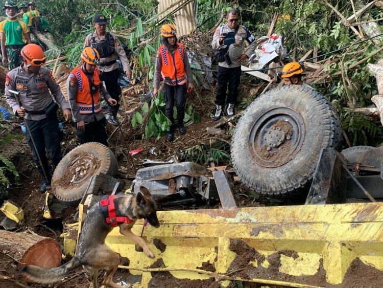 Tim K9 SAR Ditpolsatwa Polri (Dok Div Humas Polri)