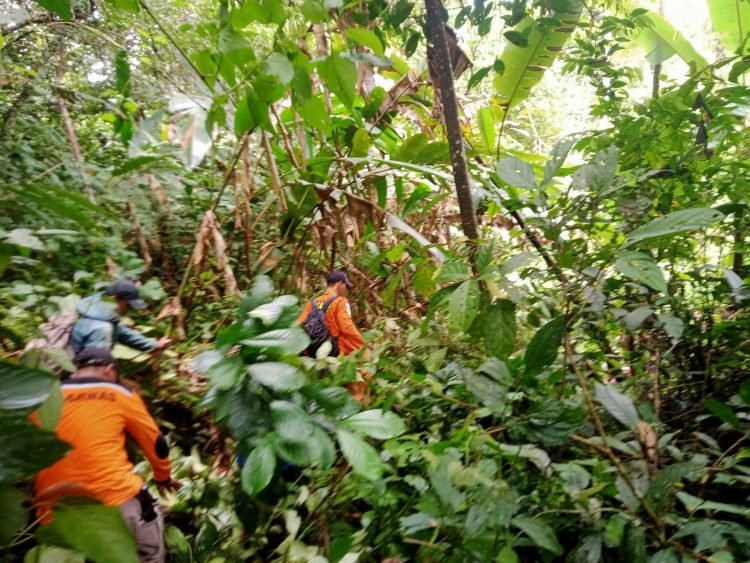 Proses pencarian seorang petani yang dikabarkan hilang di kebun kayu manis, Kerinci. (Foto Basarnas Jambi)