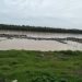 Ratusan keramba milik empat kelompok tani di Kabupaten Batanghari hanyut terseret arus sungai, Rabu (25/1/2023). (Foto Bahara)