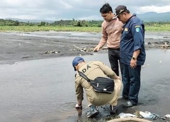Kepala Bidang Sumber Daya Air (SDA) Dinas PUPR Provinsi Jambi, Yazzer Arafat, meninjau langsung ke Desa Sungai Rumpun, Senin (23/1/2023). [dok RJ.COM]