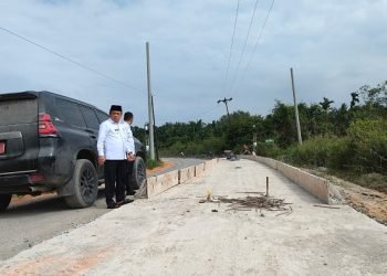 Al Haris saat tinjau Proyek Jalan Provinsi Sungai Saren-Senyerang. (Dok. Riki - Serampas)