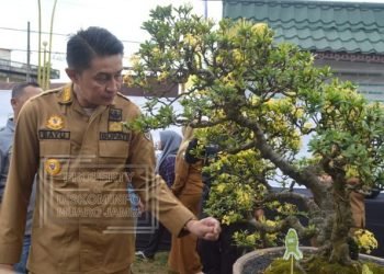 Pj Bupati Muaro Jambi Buka Kontes dan Pameran Bongsai PPBI -CMJ Ranting Sekernan di area kantor camat sekernan, Selasa (14/02/2023). (Dok. Kominfo)
