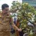 Pj Bupati Muaro Jambi Buka Kontes dan Pameran Bongsai PPBI -CMJ Ranting Sekernan di area kantor camat sekernan, Selasa (14/02/2023). (Dok. Kominfo)