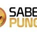 Logo Saber Pungli (Dok. Humas Polda)