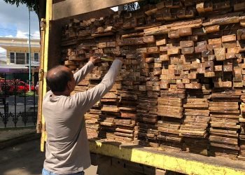 Truk Pengangkut Kayu Ilegal setelah di amankan Polisi pada 16 Juni 2023 lalu. (Dok. Humas Polda Jambi)