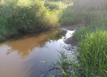 Kondisi aliran sungai Tanjung Batu di Kelurahan Parit Culum II, Kabupaten Tanjab Timur, Rabu (26/07/2023). (Dok. Realitajambi.com/Misbah)