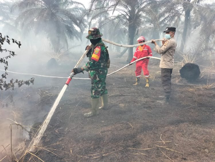 Danrem 042/Gapu Pimpin Langsung Padamkan Api Kebakaran Lahan Gambut di Dusun Setia Jaya RT. 09 Desa Ramin, Kab. Muaro Jambi, Kamis, (31/08/2023). (Penrem 042/Gapu)