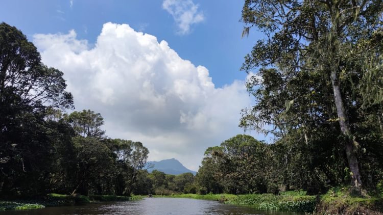 Keindahan Panorama alam di Rawa Bento, Kerinci, Sabtu,(9/9). (Dok.Deni)